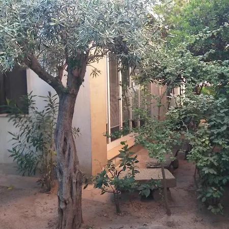 I Ginepri * אולביה