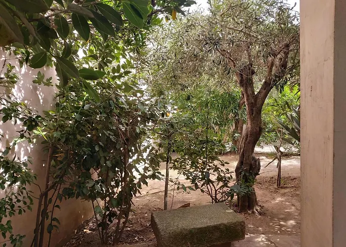 Apartamento I Ginepri *